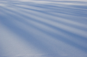 Converging shadows on fresh snow