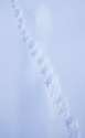 Grouse tracks in fresh snow