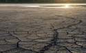 Fresh tracks across dry lakebed