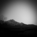 Pyramid Mountain and aspen at dusk