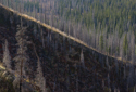 Dry grass on ridge