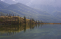 Talbot Lake shoreline