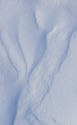 Snowdrift triptych II