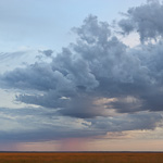 Prairie Landscape